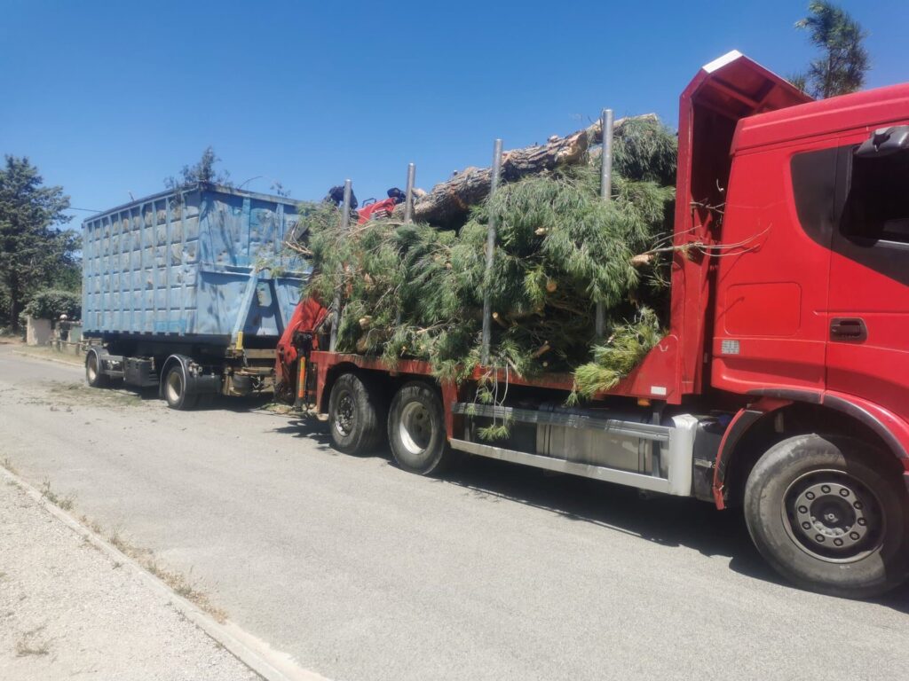 Camion grue utilisé pour le démontage des arbres